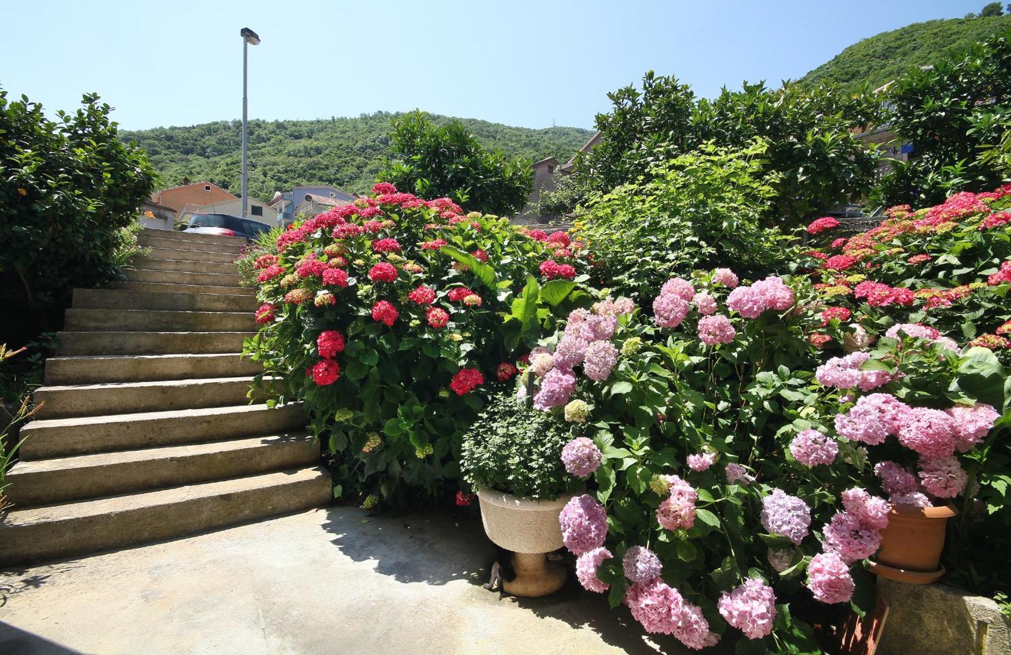 בודווה Apartments Raicevic מראה חיצוני תמונה